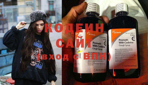 мдпв Ельня