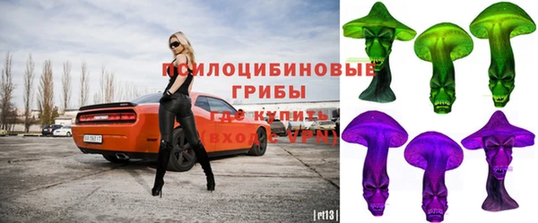 бошки Елизово