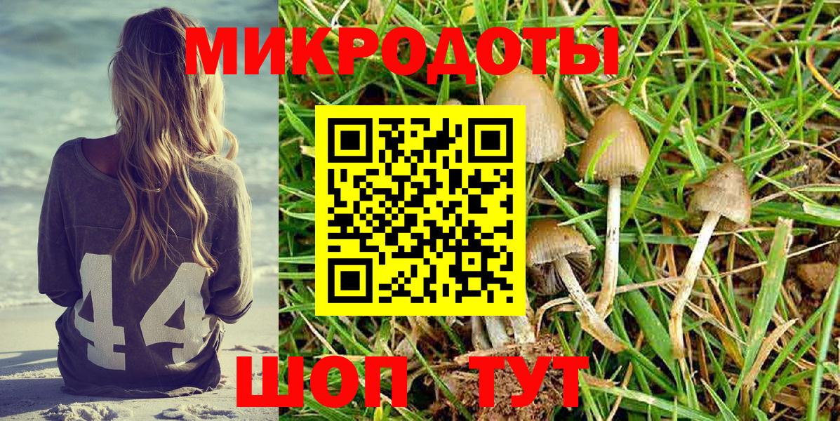 Галлюциногенные грибы Magic Shrooms  Псилоцибиновые грибы прущие грибы  Гусев 