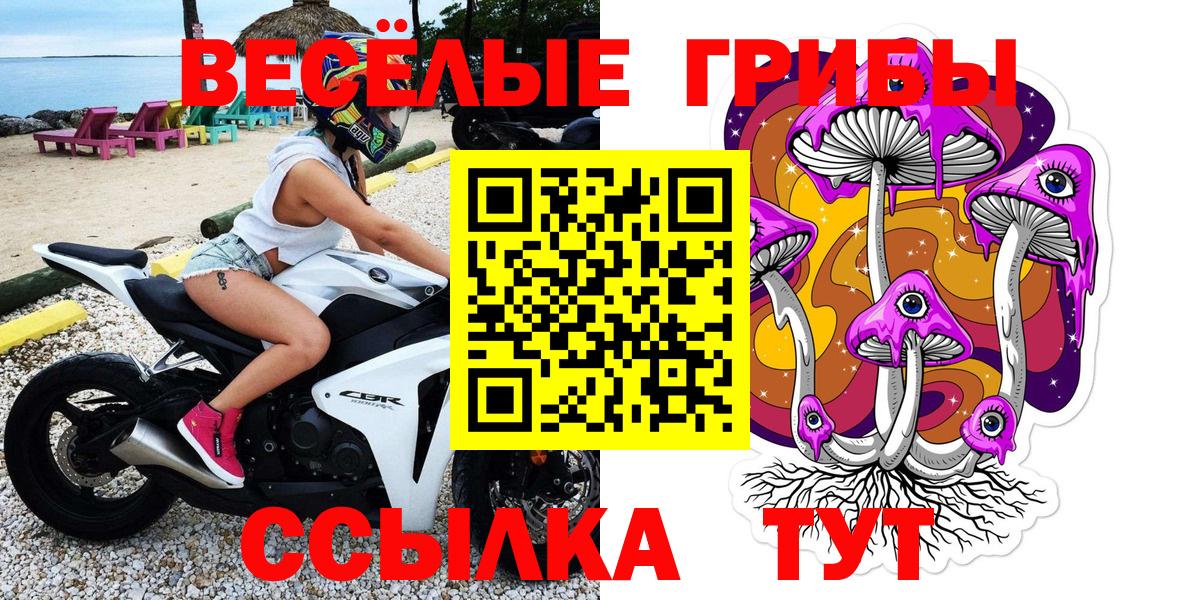 Гусев  Псилоцибиновые грибы мицелий  Вход с VPN 