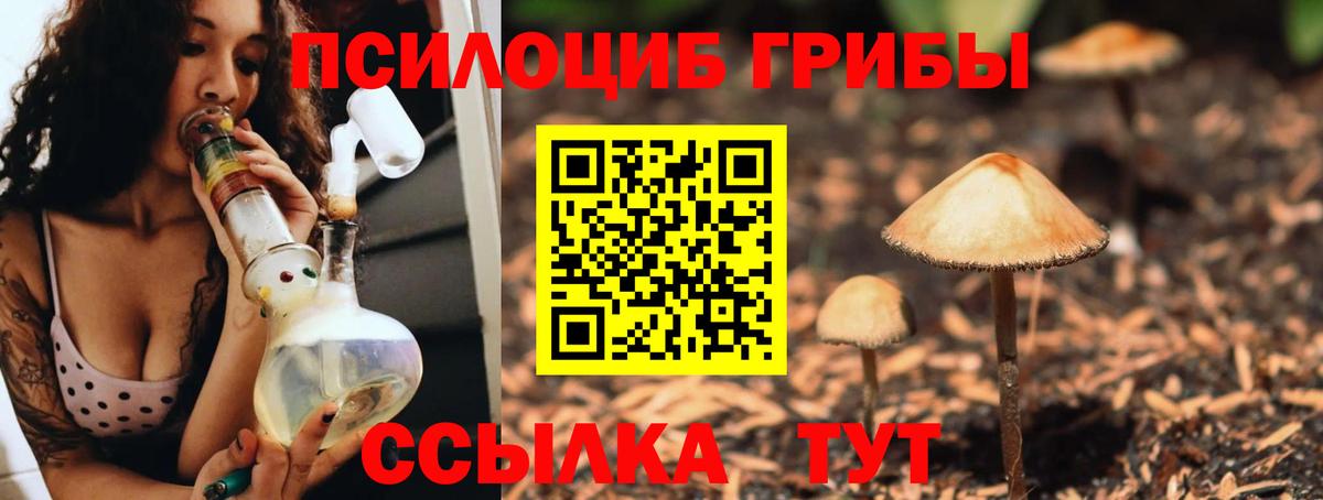 Псилоцибиновые грибы ЛСД Гусев