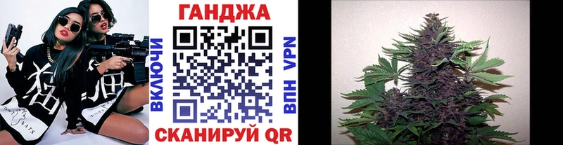 купить наркотики сайты  kraken tor  Конопля White Widow  Гусев 